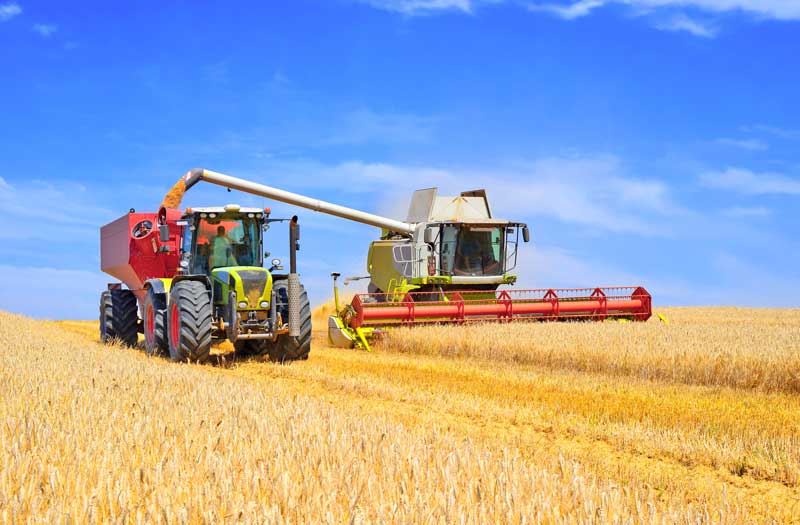 grain-harvester-and-tractor-harvesting-wheat